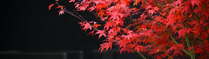 blog 3