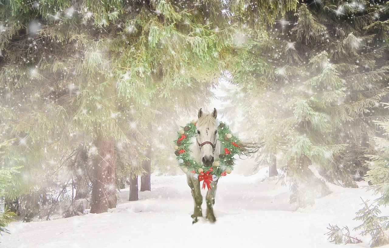 From the Yard: A Simple Winter Wreath Made from What's Already Growing